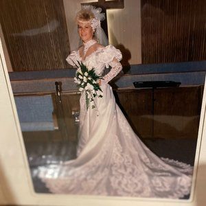 Professionally Preserved Wedding Dress with Vail